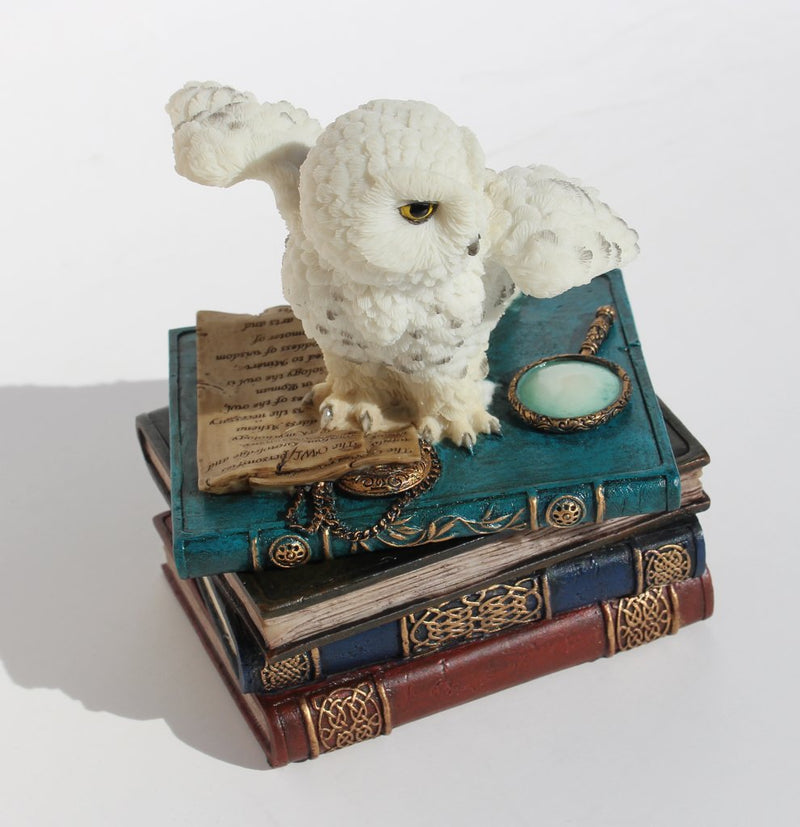 [Australia] - US 4.75 Inch Snow Owl Flap Wings on Books Trinket Box, White Color 