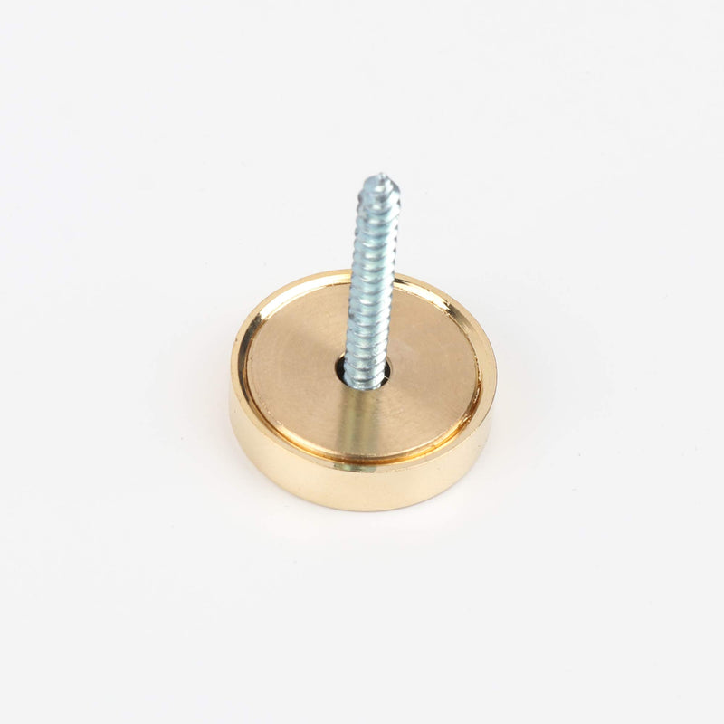 [Australia] - Mirror Screws,Brass Cap Decorative Mirror Nails,1",Polished Gold,4 Pack Circle:1" 