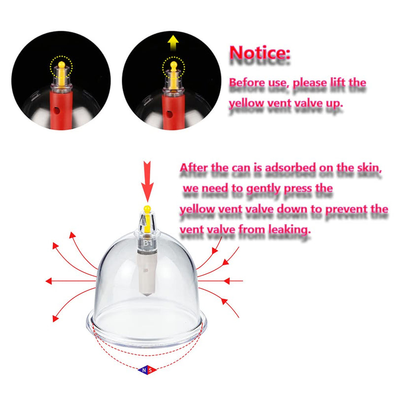 [Australia] - 12 Cupping Cups Sets Biomagnetic Traditional Professional Chinese Therapy Massage Cupping Set Household Pull Out Vacuum Cupping Kit/Chinese Massage Hijama Suction (12) 12 