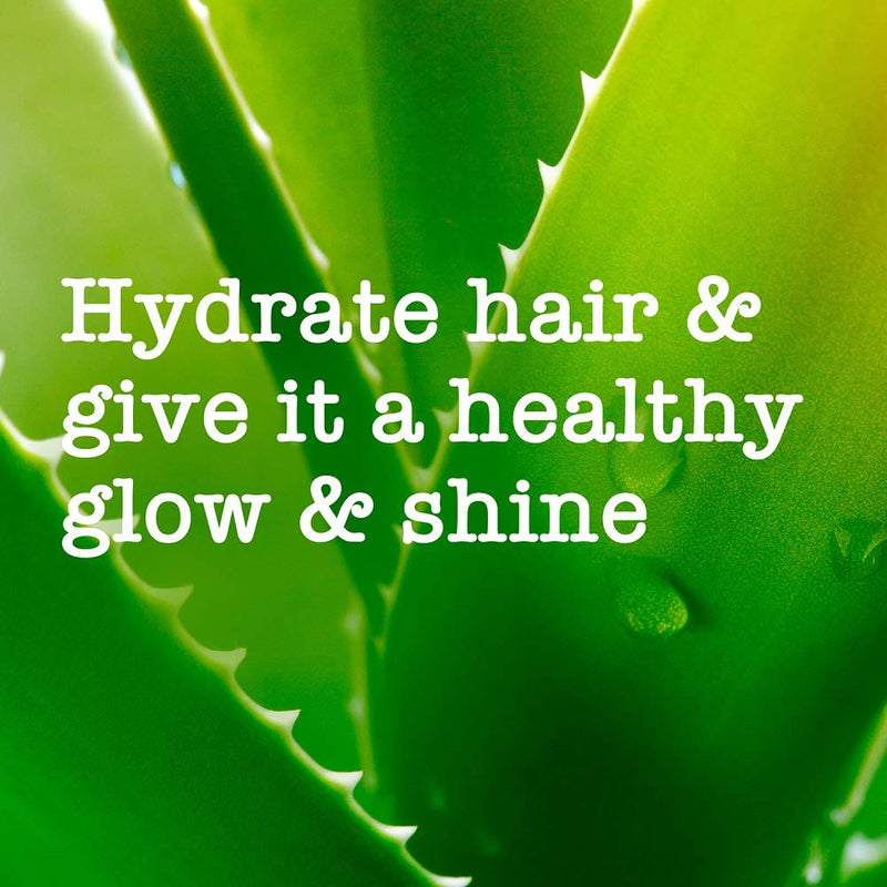 [Australia] - Maui Moisture Conditioner for Dry Hair, Coconut Milk & Aloe Vera, 385 ml Condtioner 