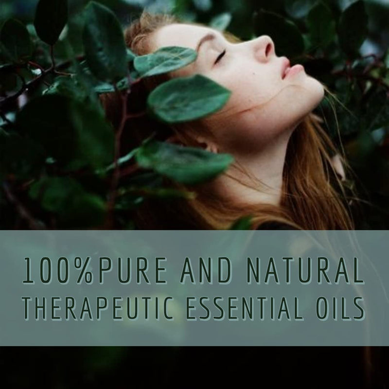 [Australia] - Greenwood Essential Pure Chamomile Floral Water (Hydrosol) (Matricaria recutica) 100% Natural Therapeutic Grade 50ml (1.69 oz) 50ml (1.69 Ounce) 