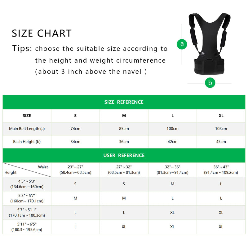 [Australia] - Back Brace for Posture Support for Women and Men, Lumbar Shoulder Posture Correction,Shoulder Straps for Back (L) L 