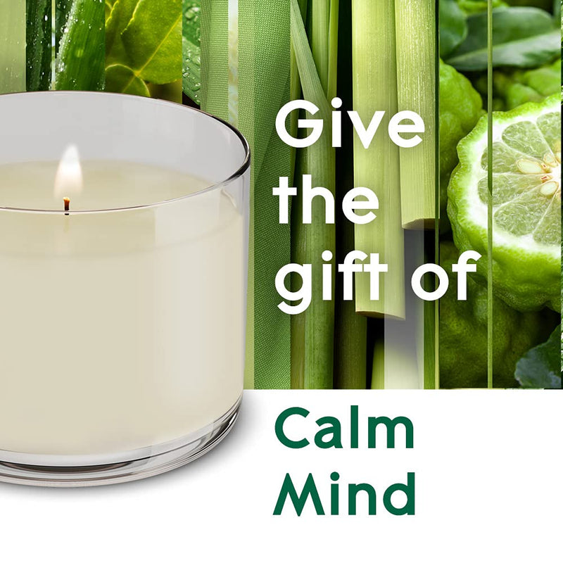 [Australia] - Glade Aromatherapy Candle Gift Set, Home Décor Scented Candle Calming Jar Candle, Calm Mind with Bergamot & Lemongrass, Pack of 2 (2 x 260 g) 2 Pack 