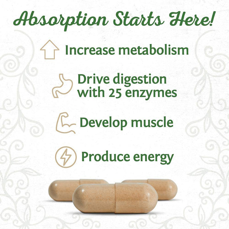 [Australia] - Digestive Enzymes Probiotic | Plant Based & Vegan with Spore Based Probiotic Essential Supplements to Support Optimal Health for Men & Women Digestive Enzyme Supplements | Enzorb by Sunwarrior 