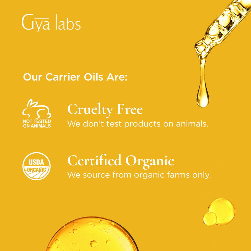[Australia] - Gya Labs Organic Argan Carrier Oil For Dry Skin & Thinning Hair (100ml) - Therapeutic Grade Moroccan Argan Oil - Perfect for Dewy Skin & Hair Growth - Use on Skin and Hair 100 ml (Pack of 1) 