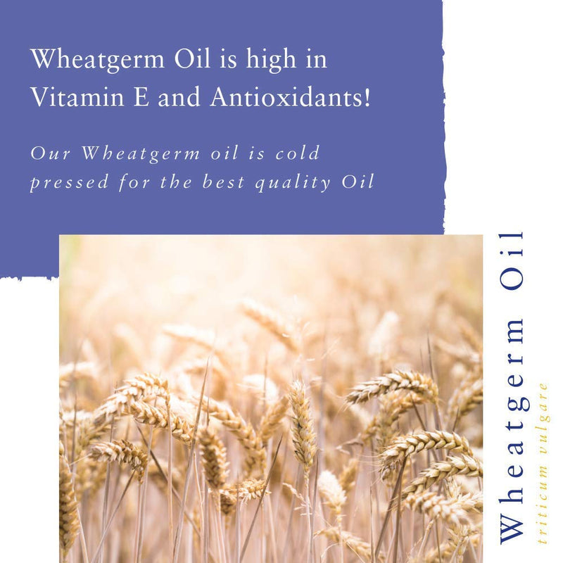 [Australia] - Absolute Aromas Wheatgerm Oil 500ml - 100% Pure, Natural and Rich in Vitamin E - For Massage, Aromatherapy and Blending Essential Oils 500 ml (Pack of 1) 