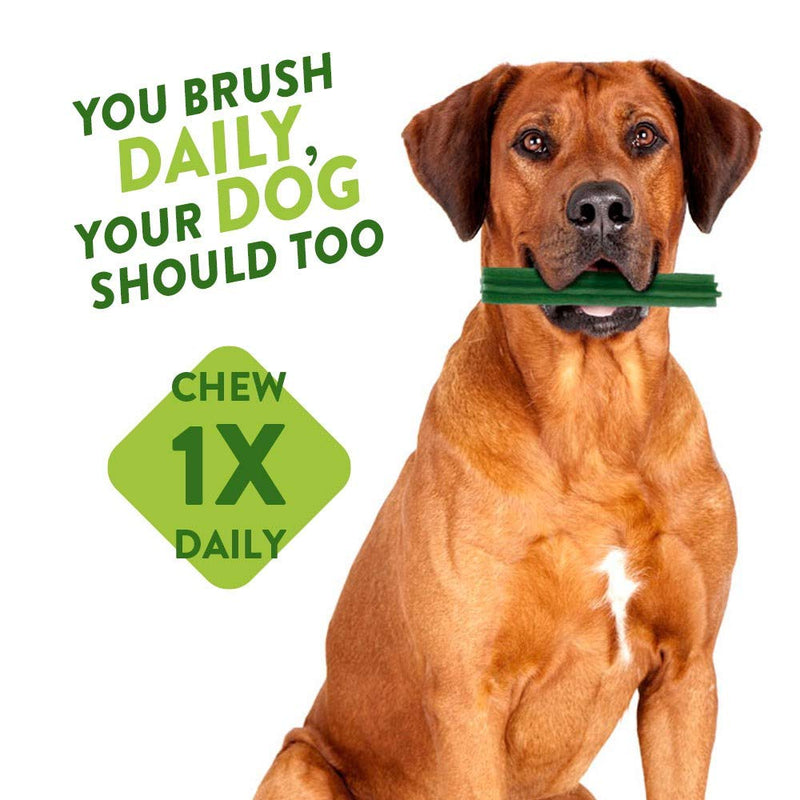 [Australia] - WHIMZEES Stix, Natural and Grain Free Dog Dental Sticks, Dog Chews for Small Breeds, Monthly Pack (30 Pieces), Size S Monthly Box - 30 pieces Adult S (Dogs 7-12kg) 