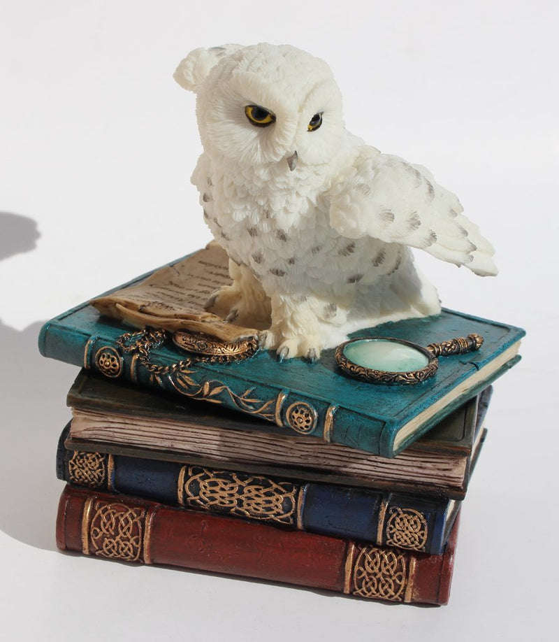 [Australia] - US 4.75 Inch Snow Owl Flap Wings on Books Trinket Box, White Color 