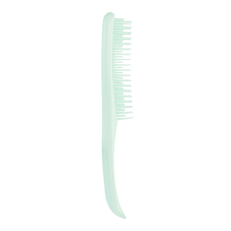 [Australia] - Tangle Teezer The Wet Detangler Fine & Fragile, Jade Lagoon 