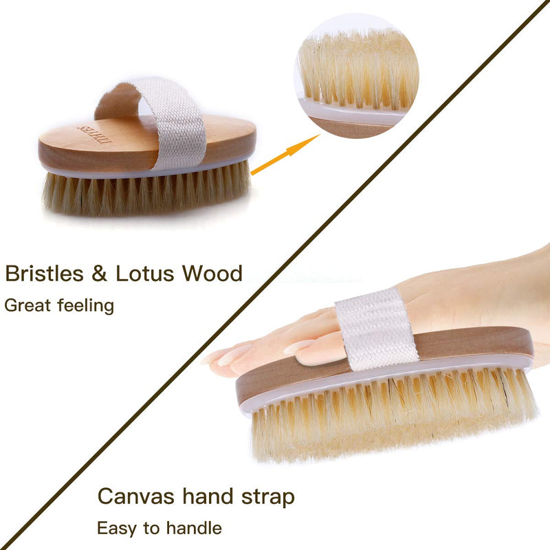 [Australia] - Ithyes Dry Brushing Body Brush Exfoliating Brush Natural Bristle bath Brush for Remove Dead Skin Toxins Cellulite,Treatment,Improves Lymphatic Functions,Exfoliates,Stimulates Blood Circulation 