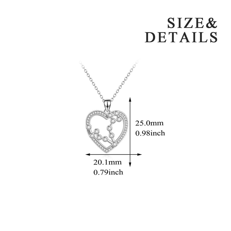 [Australia] - YFN Sterling Silver 12 Zodiac Constellation Necklace Heart Pendant for Women Jewelry Gifts Pisces 