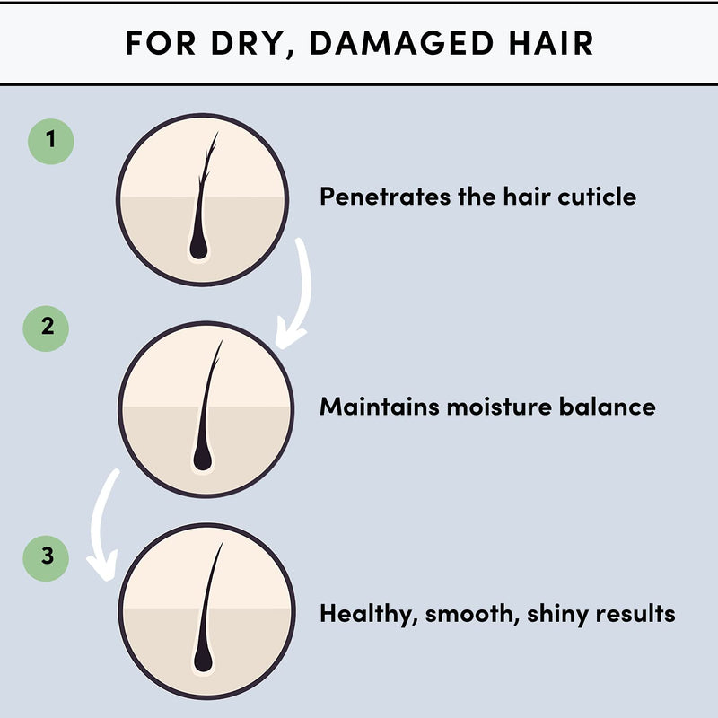[Australia] - Hair Oil Natural & Organic Hair Mask & Hair Treatment with Coconut Oil for Dry Damaged Hair (100ml, Hair conditioning Oil) 100 ml (Pack of 1) 