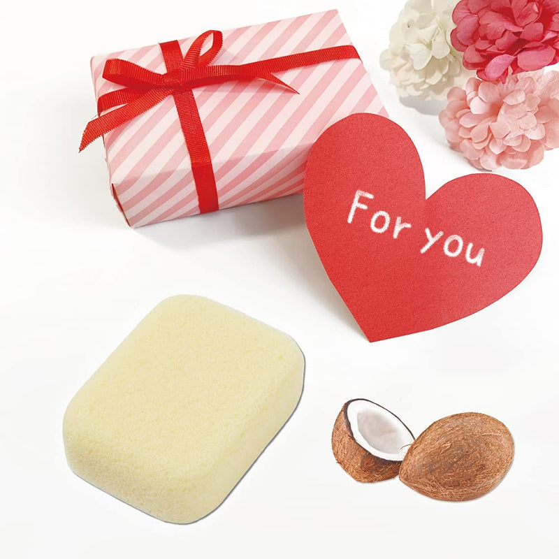 [Australia] - Pumice Stone for Feet, Body, Hands [Made in Japan] Coconut Oil Blended for Extra Fine Smooth Finish, Soft Foot Pumice Scrubber 