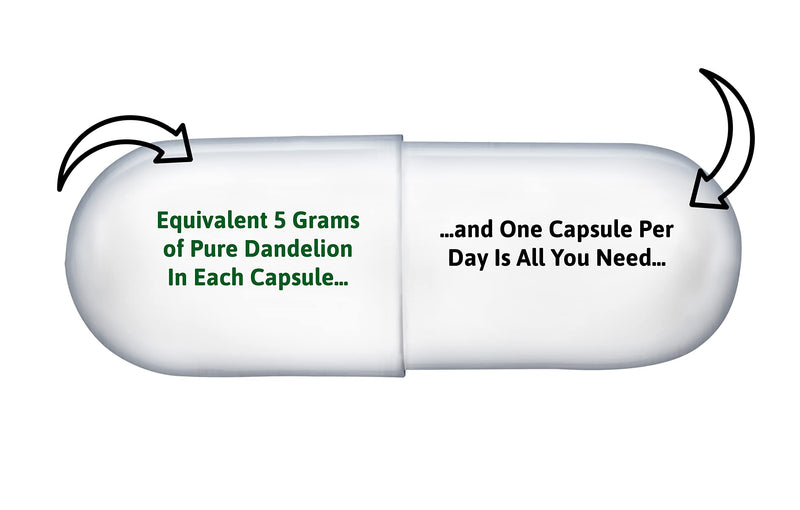 [Australia] - High-Strength Dandelion Extract Capsules (10:1) 5,000mg Per Capsule - 90 Per Bottle, Vegan Safe, UK Manufactured 