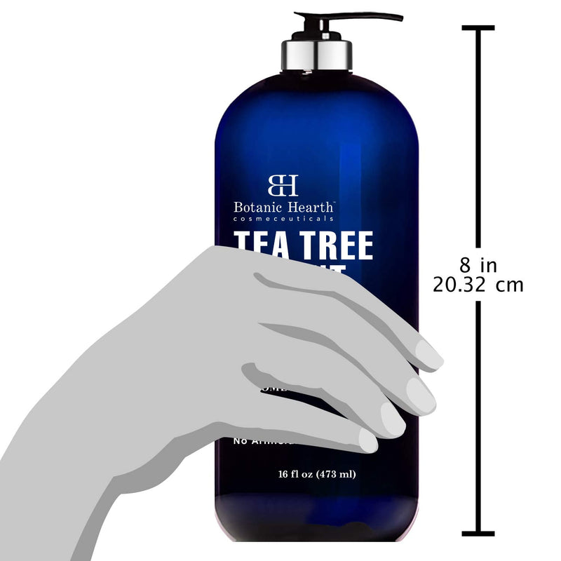 [Australia] - BOTANIC HEARTH Tea Tree Oil Body Wash with Mint - Paraben Free, Helps Fight Body Odor, Athlete's Foot, Jock Itch, Skin Irritations - Shower Gel Soap - Women & Men - (Packaging May Vary) 16 fl oz 