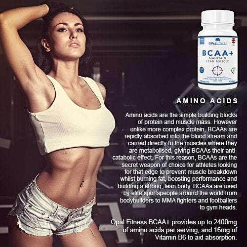 [Australia] - BCAA Tablets, Branched Chain Amino Acids By Opal Fitness Nutrition – Vegan BCAA+ With Vitamin B6 to Aid Absorption - UK Produced And GMP Certified - Suitable For Men And Women – 120 Tablets 