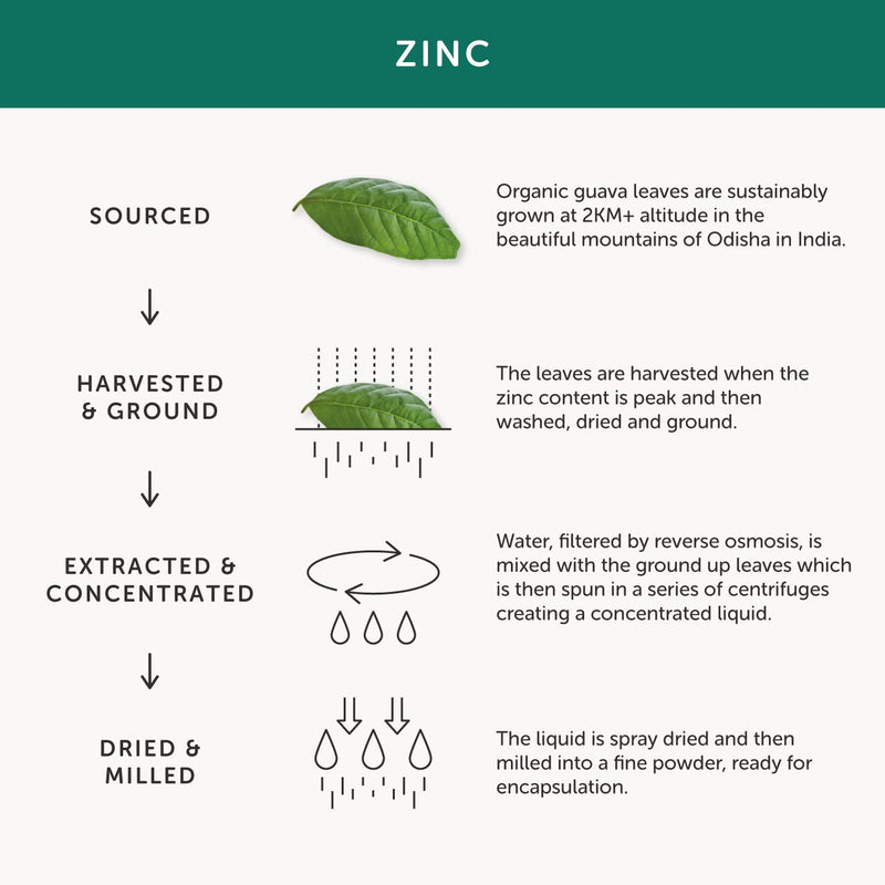[Australia] - Organic Zinc Supplement - Together Health - Natural Source of Zinc from Guava Leaves - Vegan - Made in The UK - 30 Vegecaps 