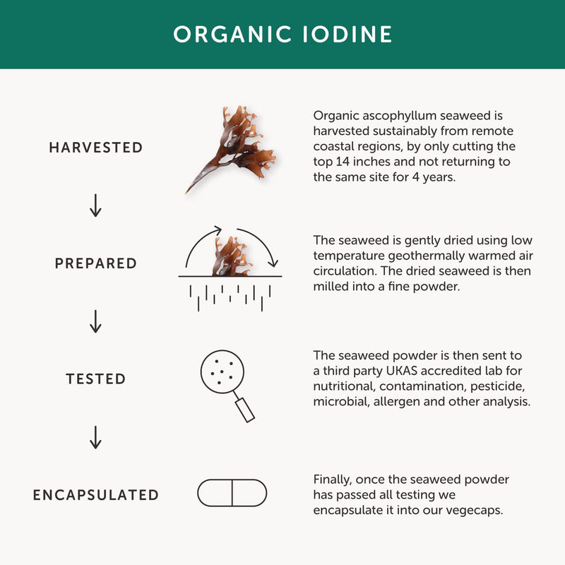 [Australia] - Organic Seaweed Iodine Supplement � Together Health � from Organic Seaweed � Natural Source of Iodine � Vegan Friendly � Made in The UK � 30 Vegecaps 30 Count (Pack of 1) 