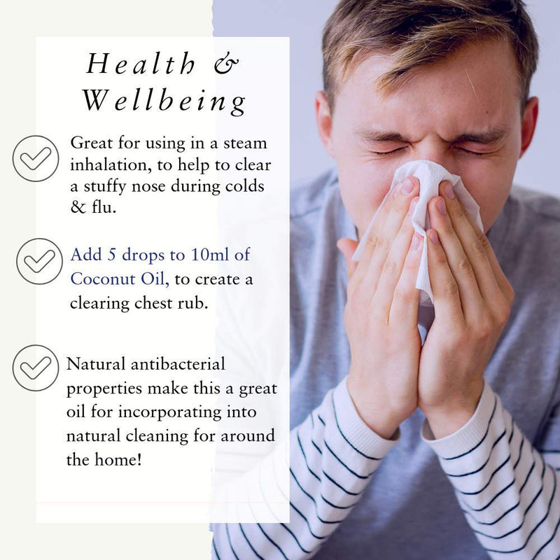 [Australia] - Absolute Aromas Eucalyptus Essential Oil 30ml - 100% Pure, Natural and Undiluted - an Antiseptic and Antibacterial Oil to Soothe and Clear - for use in Diffusers and Aromatherapy 
