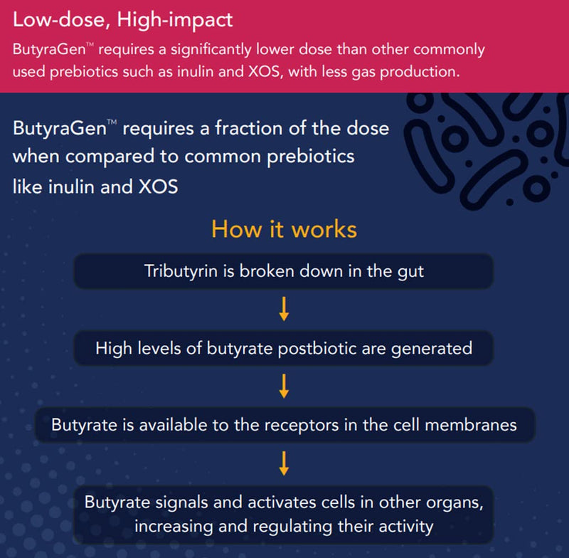 [Australia] - ButyraGen� Tributyrin Complex � Directly Generates Postbiotic Butyrate � Gut, Microbiome, Immune & Cognitive Support � 60 Capsules � UK Made � Zero Additives (60 Count (Pack of 1)) 