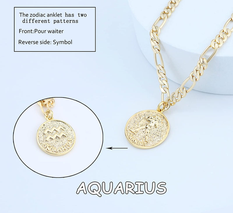 [Australia] - Zodiac Constellation Ankle Bracelet Zodiac Sign Disc Anklet 14K Real Gold Plated for Women Beach Foot Jewelry Aquarius(Jan.20—Feb.18) 