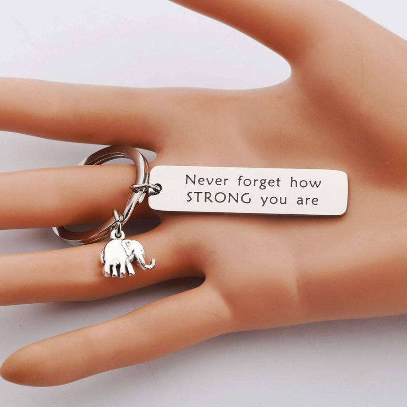 [Australia] - bobauna Elephant Keychain Don't Forget How Strong You are Strength Jewelry Uplifting Gift for Friend Family Animal Lovers never forget keychain 