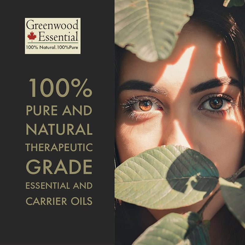 [Australia] - Greenwood Essential Pure Onion Seed Oil (Allium Cepa) 100% Natural Therapeutic Grade Cold Pressed for Hair, Scalp, Skin and Massage 30ml (1.01 oz) 30 ml (Pack of 1) 