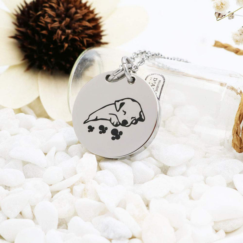 [Australia] - Pet Cremation Necklace for Ashes Urns Jewelry Stainless Steel Cute Dog Cat Keepsake Memorial Urn Pendant Locket 