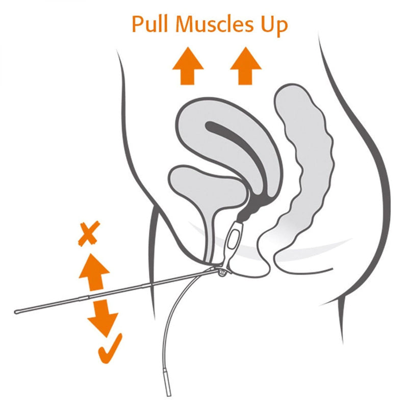 [Australia] - Neen Periform Intra-Vaginal Probe, Pelvic Floor Stimulation, Strengthens Muscles, Contoured Electrodes for Comfortable Stimulation, Pelvic Strengthener 