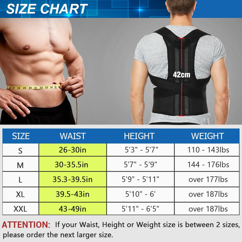 [Australia] - Back Brace Posture Corrector for Women and Men, Back Braces for Upper and Lower Back Pain Relief, Adjustable and Fully Back Support Improve Back Posture and Lumbar Support(L, 35.5"-41.5" Waist) Large (Pack of 1) 