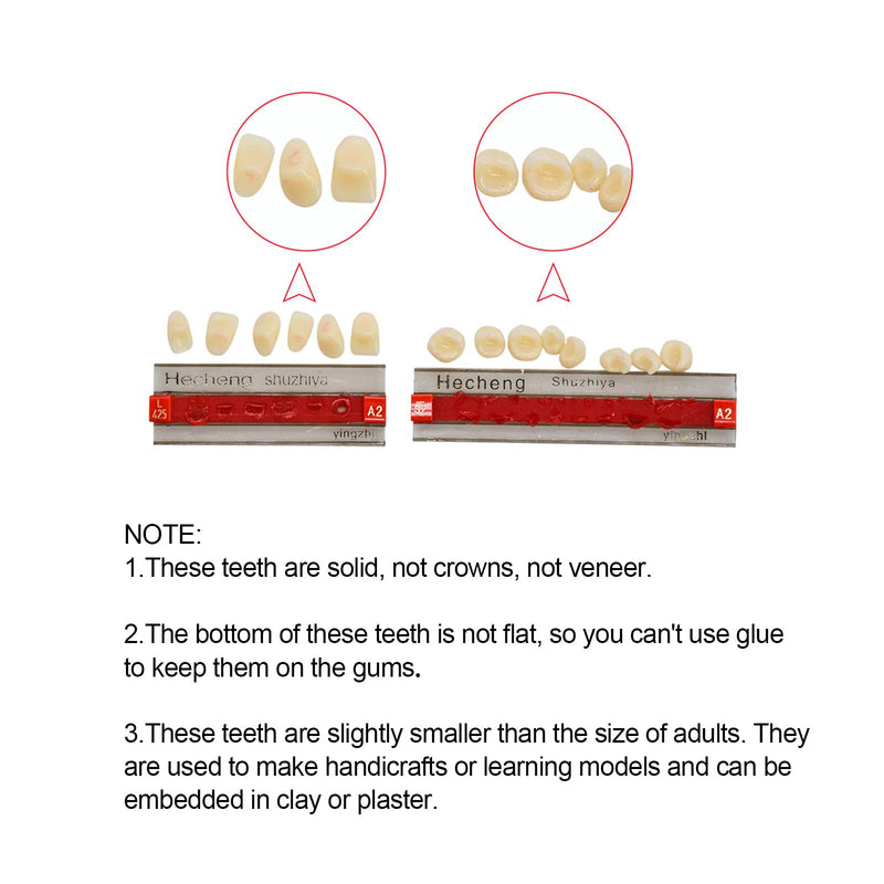 [Australia] - Angzhili 84 Pcs Dental Acrylic Resin Denture False Teeth 3 Sets Synthetic Polymer Resin Denture Teeth 23 Shade A2 Upper + Lower Dental Materials 