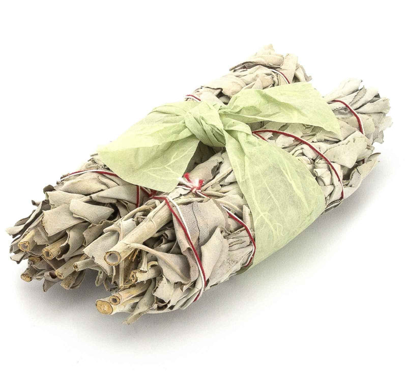 [Australia] - Pack of 2: WHITE SAGE Quality by Native Spirit XL Smudge Stick 7''-8'' (~18-21cm; je ~40-55gr) Incense fresh from California, buffalo sage, indian sage, wands 