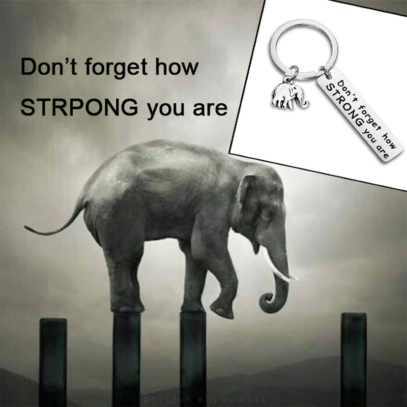 [Australia] - WUSUANED Friendship Keychain Never Forget How Strong You Are Elephant Jewelry Inspirational Gift For Elephant Lovers elephant keychain 