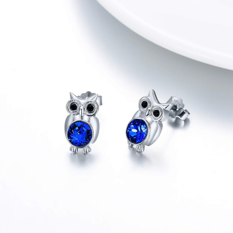 [Australia] - Owl Gifts for Women, Sterling Silver Cute Owl Stud Earrings for Her Girls Daughter 