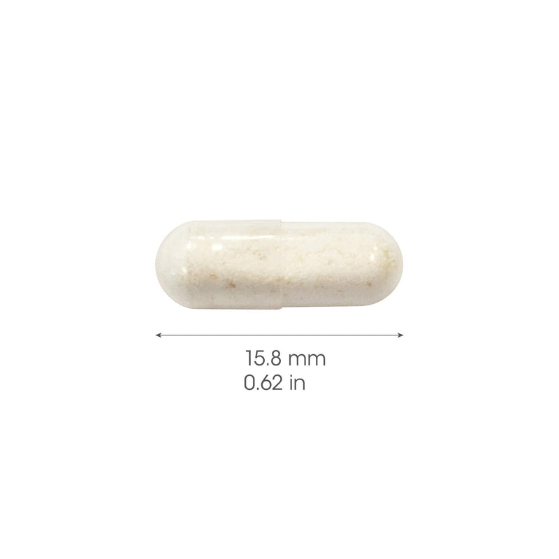 [Australia] - Bio-Kult Advanced Multi-Strain Formulation for Digestive System 30 Capsules, 40 g, 1-pack 30 Count (Pack of 1) 