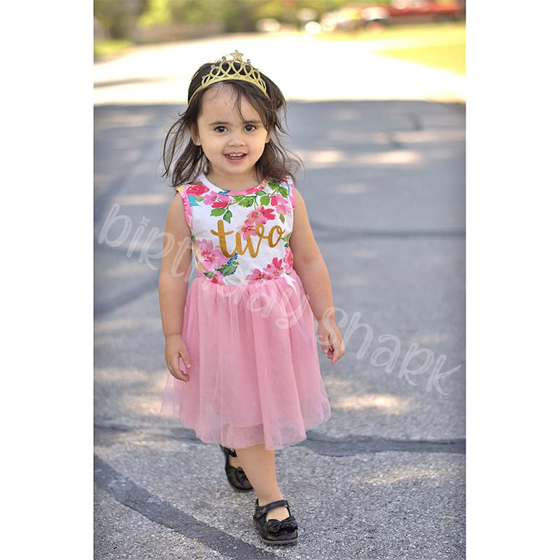 [Australia] - Baby Girl Two Year Old Birthday Outfits Toddler 2nd Birthday Dress Set 2T Pink 