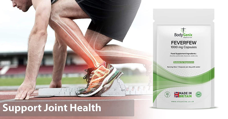 [Australia] - Bodygenix Feverfew 1000mg Vegan Capsules Supplements � with Anti-inflammatory Properties � Support Healthy Joints Health, Supports Mood and Migraine Headache (120) 