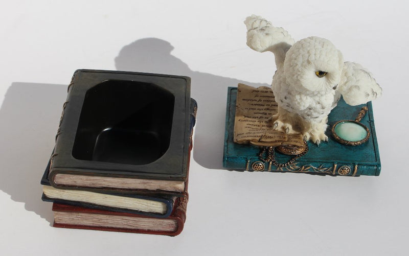 [Australia] - US 4.75 Inch Snow Owl Flap Wings on Books Trinket Box, White Color 