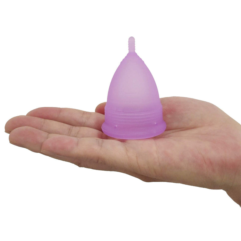 [Australia] - Croing Reusable Menstrual Cup Set of 4, Period Cup, 2 pcs Small and 2 pcs Large (Purple and White) 