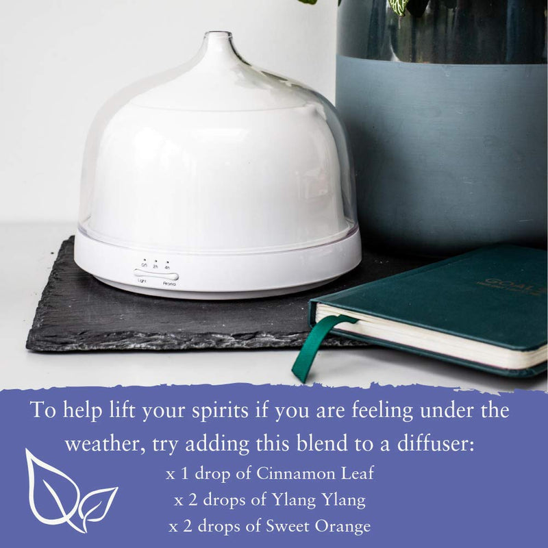 [Australia] - Absolute Aromas Cinnamon Leaf Essential Oil 10ml - Pure, Natural, Undiluted and Cruelty Free - for use in Diffusers, Aromatherapy and DIY Beauty Recipes 