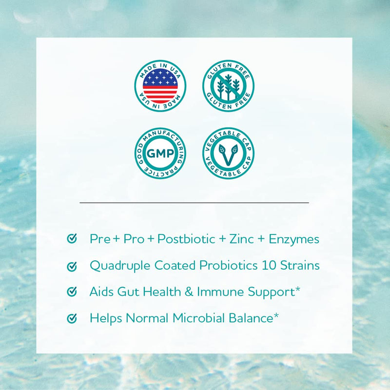 [Australia] - Anew Vita Complete Probiotic Blends | 5 in 1 Prebiotic, Probiotic, Postbiotic, Enzymes, Zinc | Quadruple Coated Probiotics | 20 Billion CFU per Veggie Capsule | 60 Veggie Capsules 
