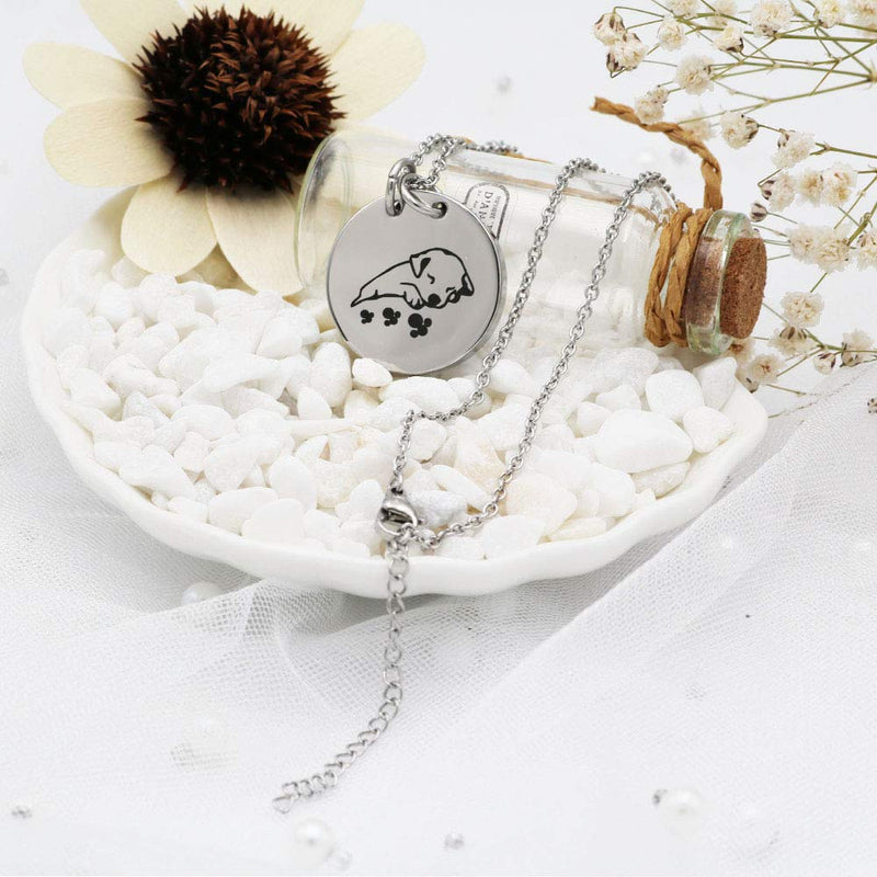 [Australia] - Pet Cremation Necklace for Ashes Urns Jewelry Stainless Steel Cute Dog Cat Keepsake Memorial Urn Pendant Locket 