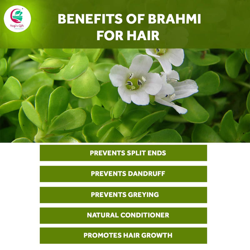 [Australia] - Brahmi Powder 250 grams | Natural Hair Growth Booster & Volumizer | Helps Improve Memory | Make Scalp Nourishing Mask | Bacopa Monnieri powder | by Yogi's Gift® Brahmi Powder 