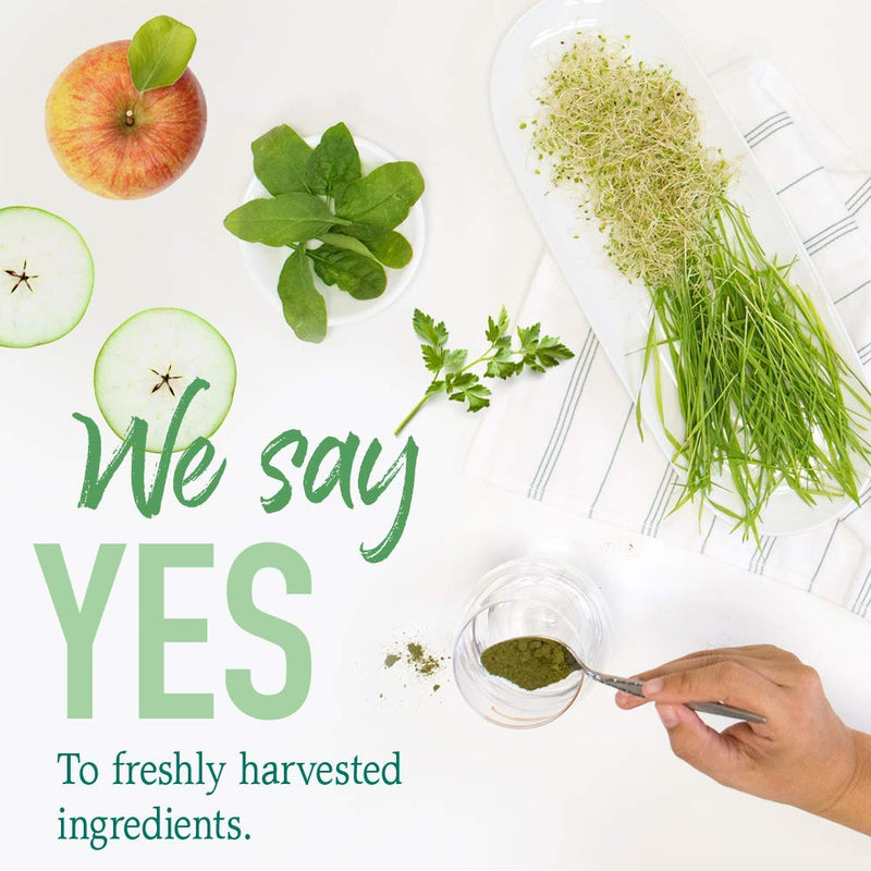 [Australia] - Garden of Life Raw Organic Perfect Food Energizer Juiced Green Superfood Powder - Yerba Mate Pomegranate, & Probiotics, Gluten Free Whole Food Greens Supplements, 30 Servings, 9.73 Oz 