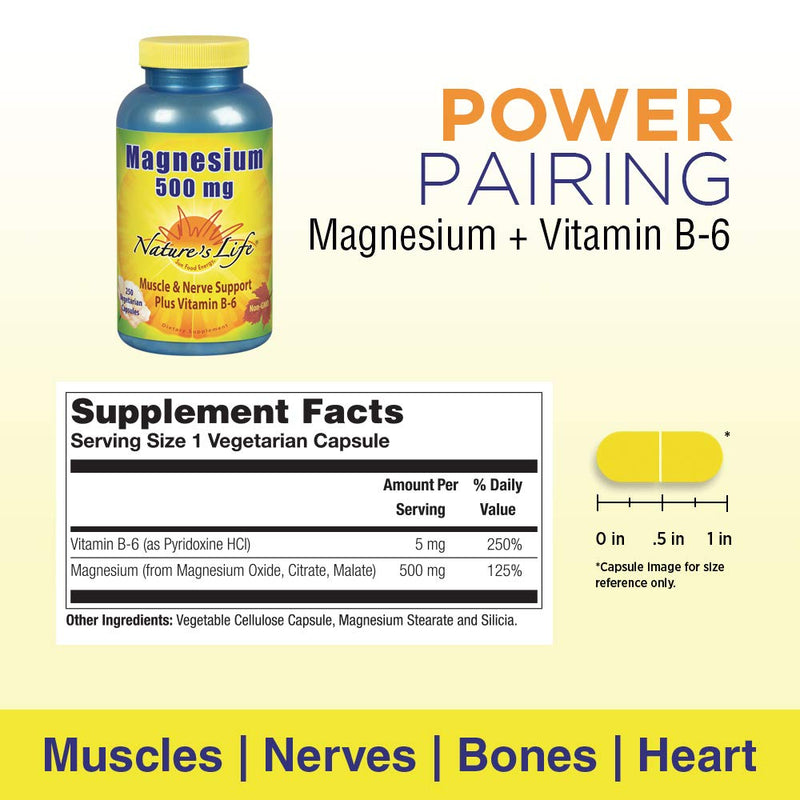 [Australia] - Natures Life Magnesium | 500mg Magnesium for Bone & Muscle Health | Supplement to Support Stress Relief, Sleep, Heart Health, Nerves, Muscles, and Metabolism* | 275 Vegetarian Capsules (250 CT) 250 Count (Pack of 1) 