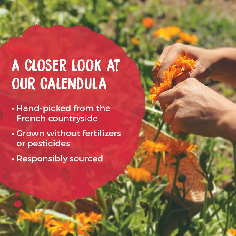 [Australia] - Boiron Calendula Cream, 2.5 Ounces, Topical First Aid Cream 