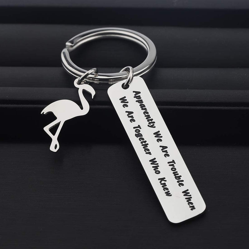 [Australia] - FOTAP Flamingo Party Gift Apparently We are Trouble When We are Together Who Knew Keychain Girl Weekends Gift Trouble keychain 