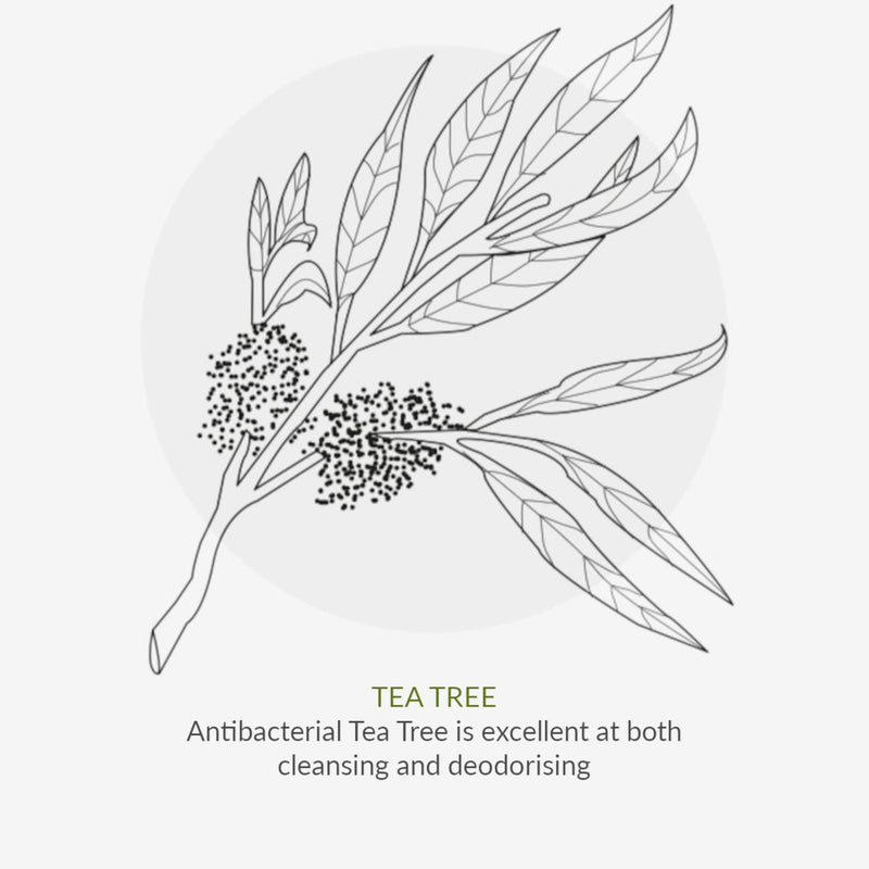[Australia] - Green People Oy! Foaming Clear Skin Face Wash 100ml | Natural & Organic Teenage Facial Wash | Willow Bark & Tea Tree | Skin Care for Pre-Teens & Teens with Spots & Blemishes | Cruelty-Free & Vegan 