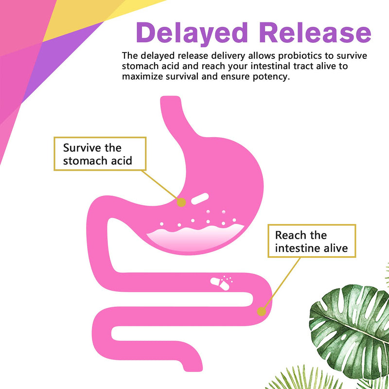 [Australia] - Doctor's Recipes Women’s Probiotic, 60 Caps 50 Billion CFU 16 Strains, with Organic Prebiotics Cranberry, Digestive Immune Vaginal & Urinary Health, Shelf Stable, Delayed Release, No Soy Gluten Dairy 60 Count (Pack of 1) 