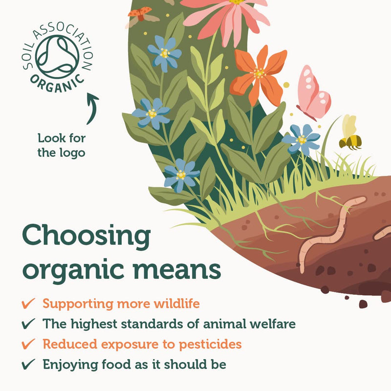 [Australia] - Oregano Oil 25ml - UK Soil Association Certified Organic Wild Oregano Oil C80 - High Strength 80% Carvacrol - Origanum Vulgare Oil - SC Nutra (Sweet Cures) 